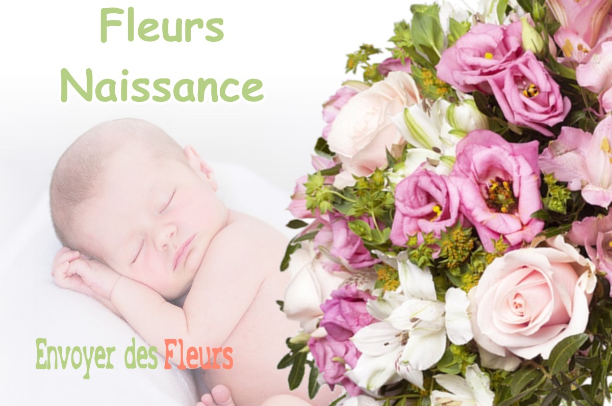 lIVRAISON FLEURS NAISSANCE à RONCHEROLLES-EN-BRAY